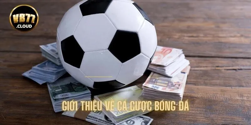 Giới thiệu về bộ môn cá cược bóng đá hot hòn họt