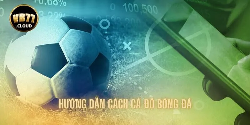 Hướng dẫn cách cá độ trực tuyến cho thành viên mới