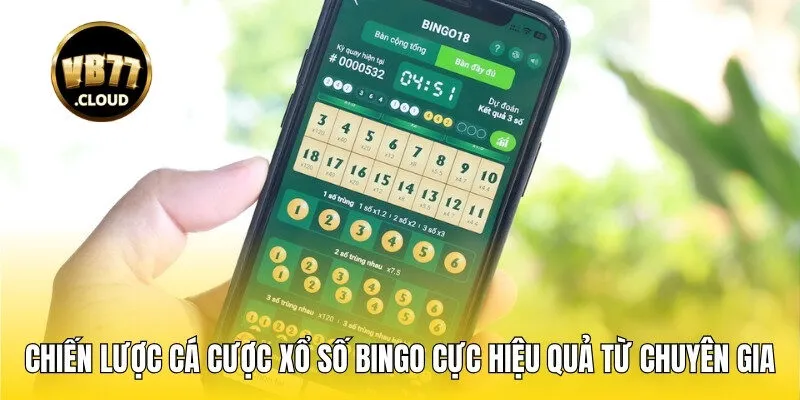 Chiến lược cá cược xổ số Bingo cực hiệu quả từ chuyên gia