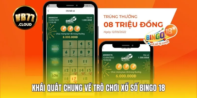 Khái quát chung về trò chơi xổ số Bingo 18